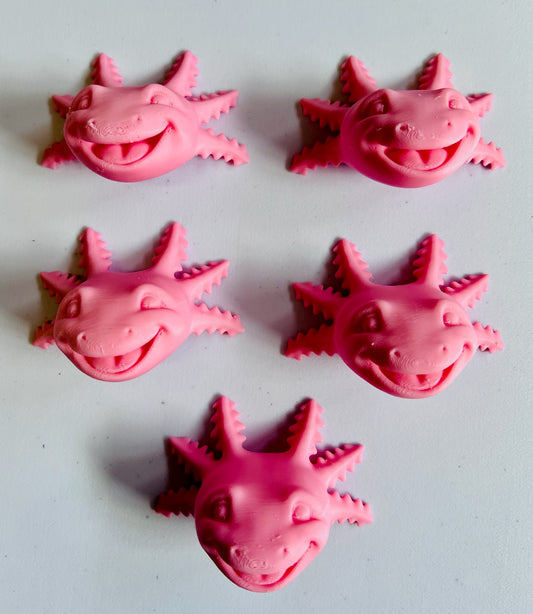 Refrigerator magnets